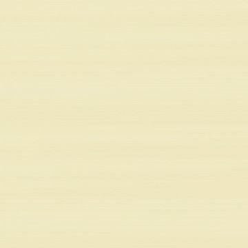 COLOR RARE - LAGUNA 41