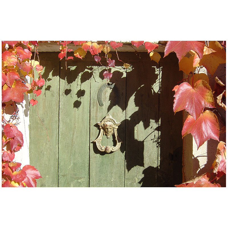 OPACA - Peinture bois à l'huile de lin