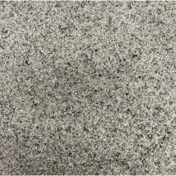 NACRE DE L'ATLANTIQUE