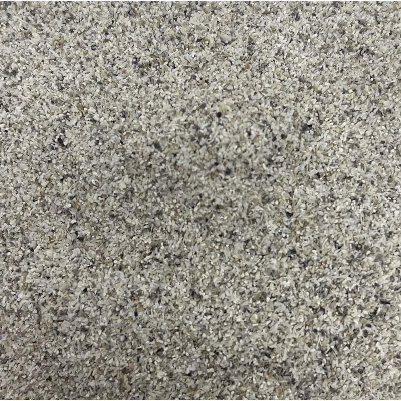 NACRE DE L'ATLANTIQUE