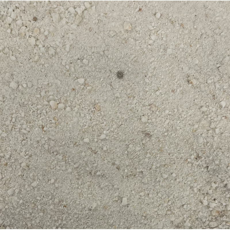 SABLE DE CORAIL BLANC