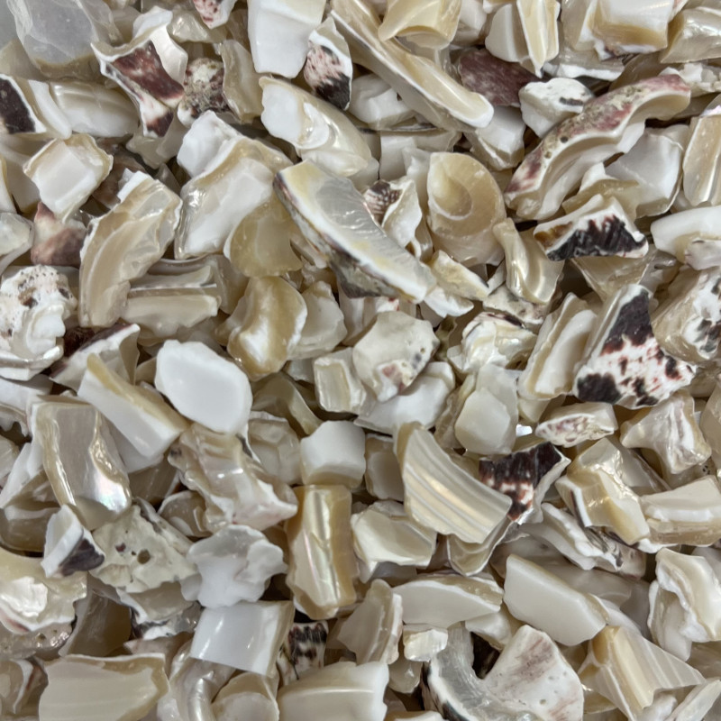 MORCEAUX DE COQUILLAGES NACRE (6-9 mm)