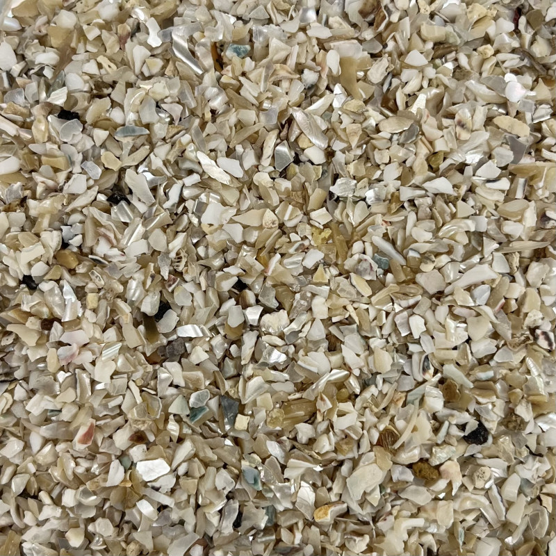 MORCEAUX DE COQUILLAGES NACRE (2,5mm)
