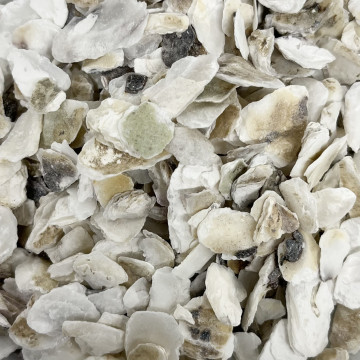 ÉCLATS DE COQUILLES...