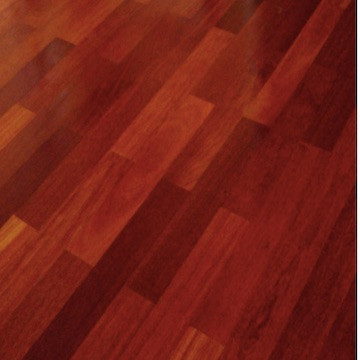 HUILE DURE - Protecteur ultra résistant