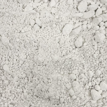 BLANC DE BOLOGNE LEGER