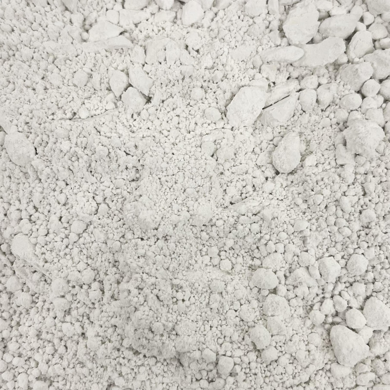 BLANC DE BOLOGNE LEGER