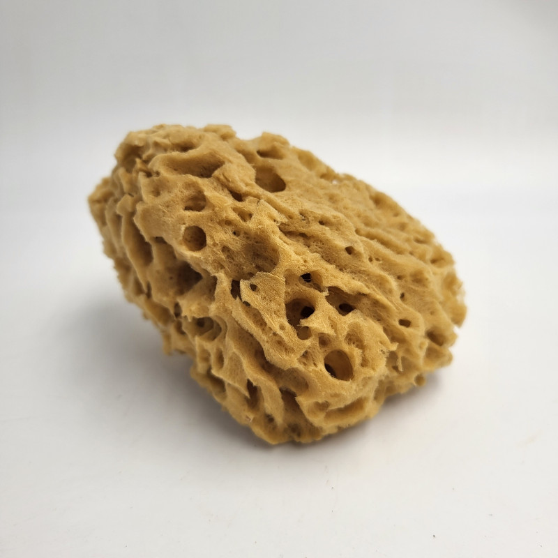 EPONGE NATURELLE RESISTANTE