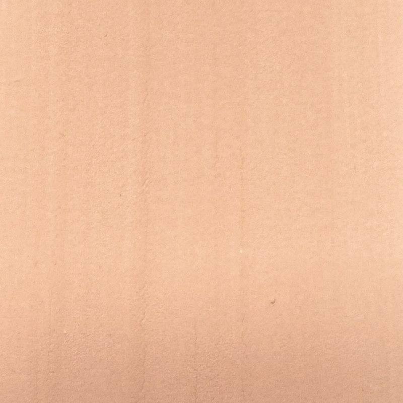 PEINTURE BIOSOURCÉE GAIA ASPECT MAT - ROSE PALE - 1L