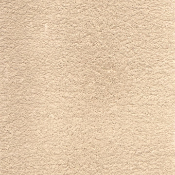 ENDUIT A LA CHAUX INTÉRIEUR - SABLÉE - BEIGE CENDRE - 12L