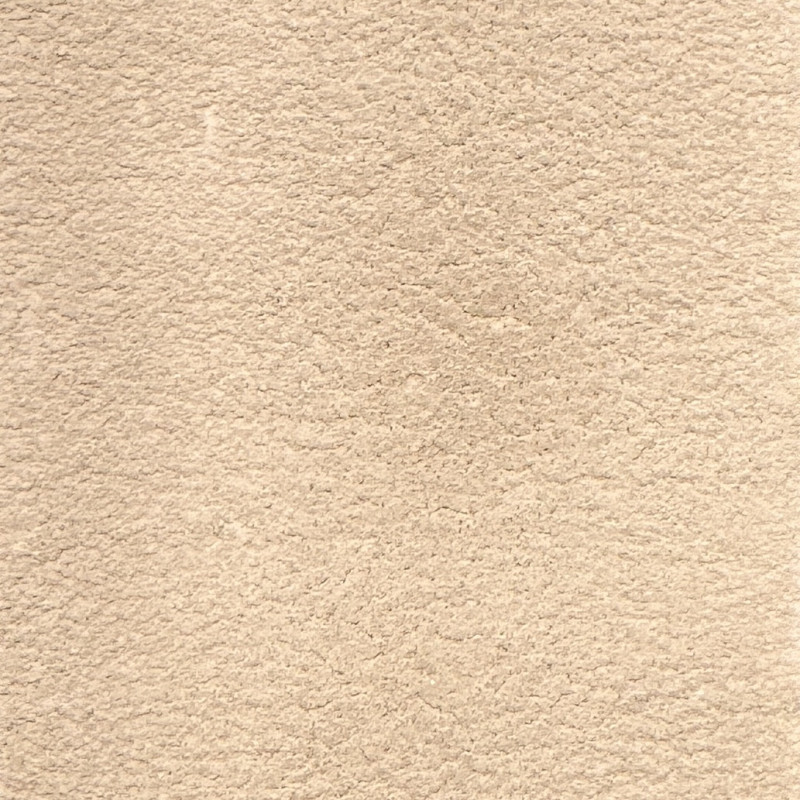 ENDUIT A LA CHAUX INTÉRIEUR - SABLÉE - BEIGE CENDRE - 12L