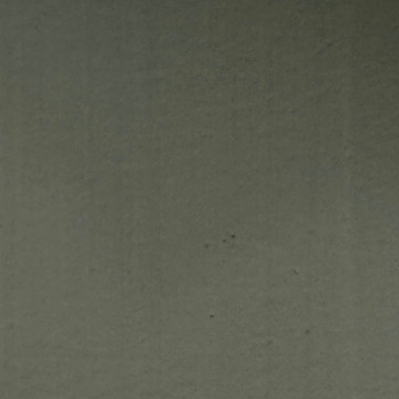 PEINTURE CHAUX ASPECT LISSE - VERT PIN - 4L