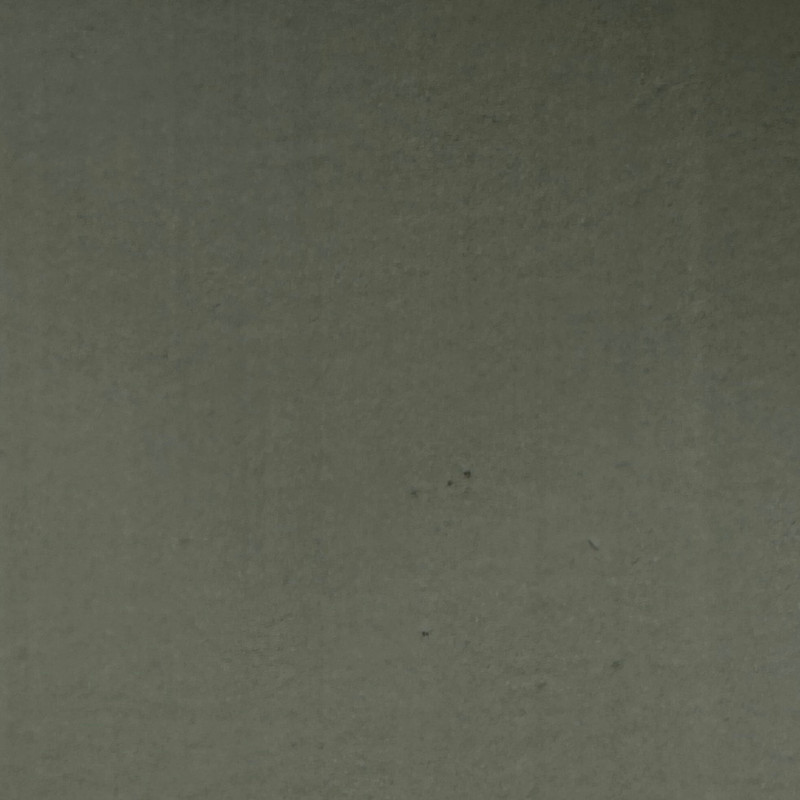 PEINTURE CHAUX ASPECT LISSE - VERT PIN - 4L