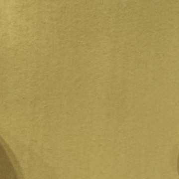 PEINTURE CHAUX ASPECT LISSE - OLIVER - 4L