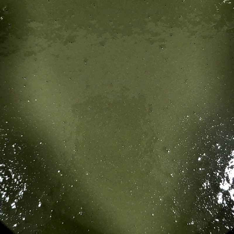 PEINTURE CHAUX ASPECT LISSE - VERT PIN - 4L