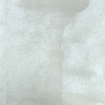 ENDUIT A LA CHAUX INTÉRIEUR - BRILLANT ET MARBRÉ - LAZIO 20 - 1L