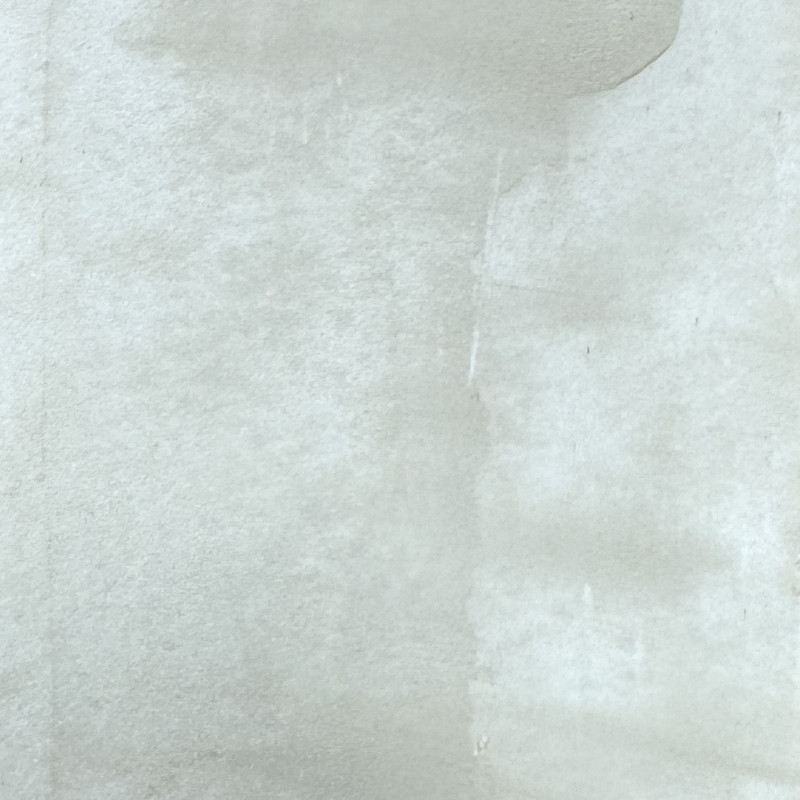 ENDUIT A LA CHAUX INTÉRIEUR - BRILLANT ET MARBRÉ - LAZIO 20 - 1L