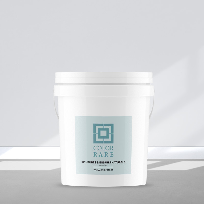 PEINTURE CHAUX ASPECT LISSE - VERT PIN - 4L