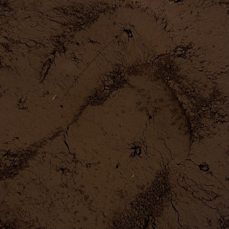 TERRE OMBRE BRULEE ESPAGNE