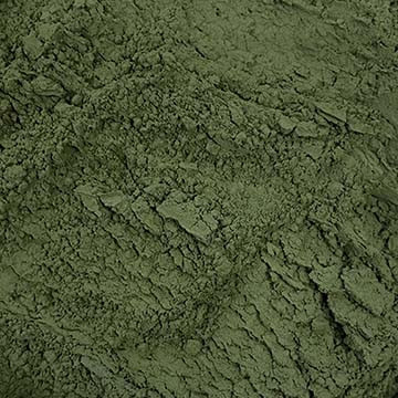 TERRE VERTE WALLONIE