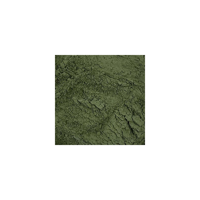 TERRE VERTE WALLONIE