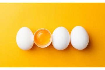 LA PEINTURE A L'OEUF